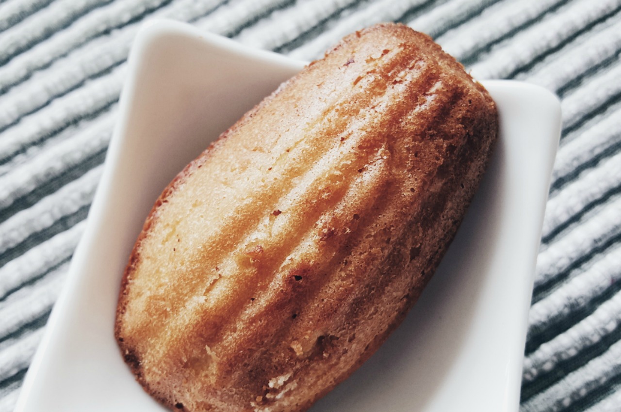Madeleine Cake - Paris Proust