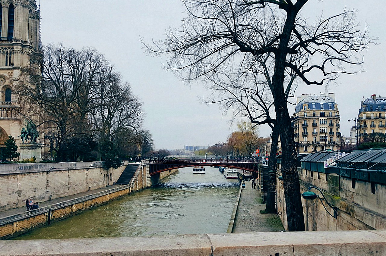 Béazley | Paris Notre Dame Cathedral & the Seine